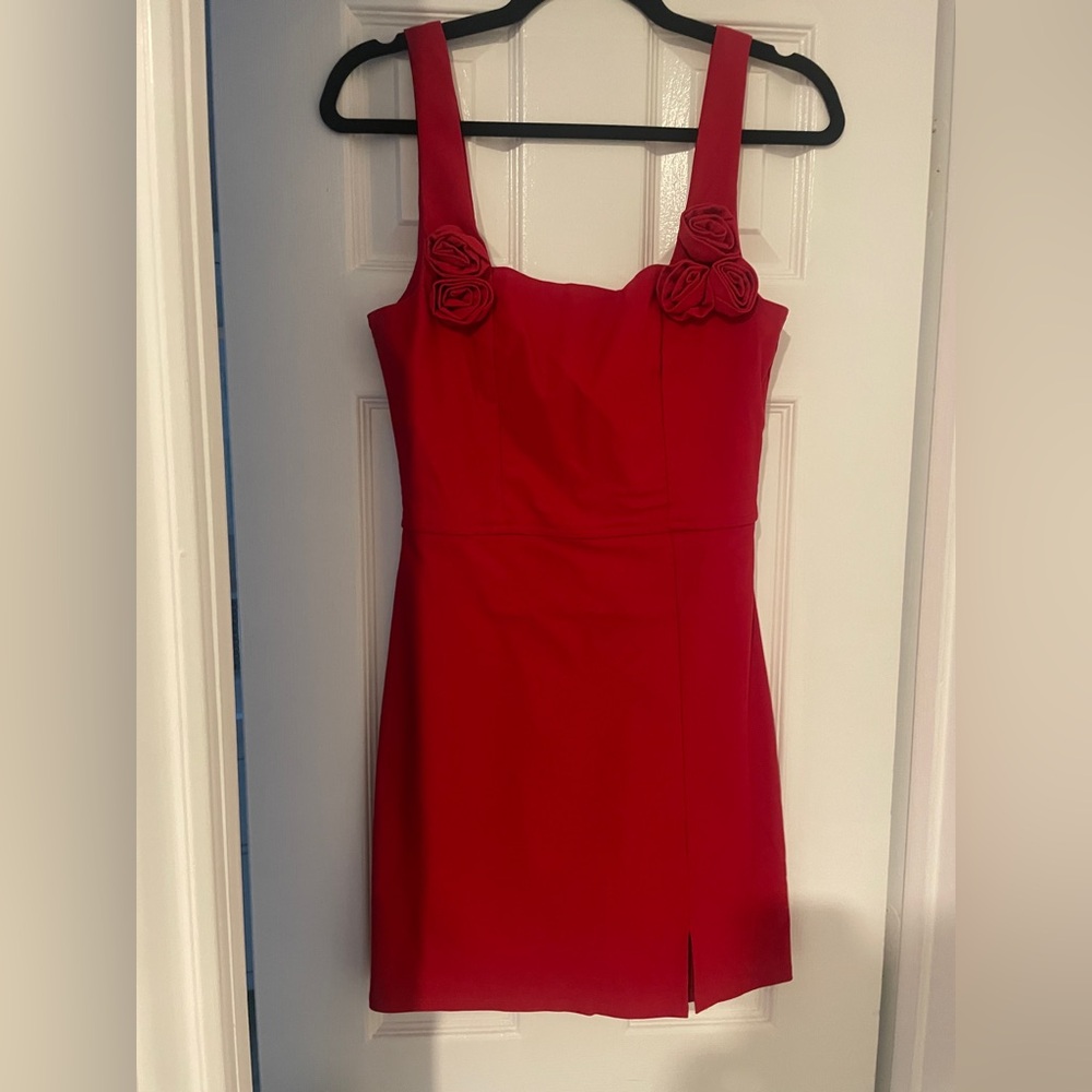 Francesca's Red dress